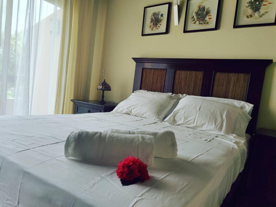 Aruba Family Oasis 2Br Pool 3Min Walk To Eagle Beach Palm Beach Luaran gambar