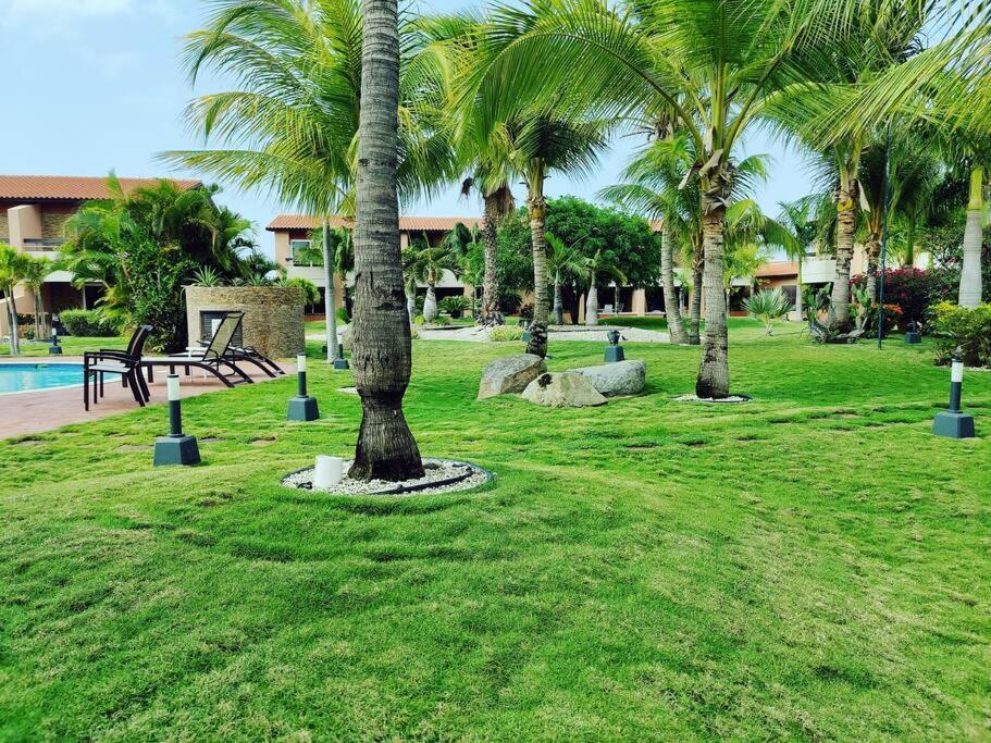 Aruba Family Oasis 2Br Pool 3Min Walk To Eagle Beach Palm Beach Luaran gambar