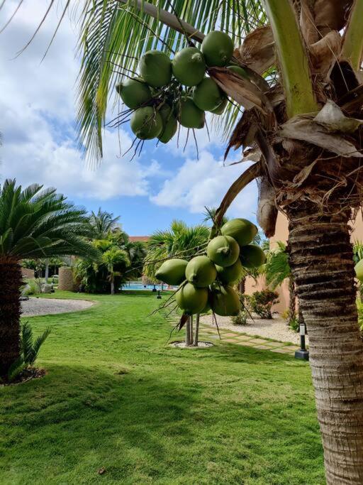 Aruba Family Oasis 2Br Pool 3Min Walk To Eagle Beach Palm Beach Luaran gambar