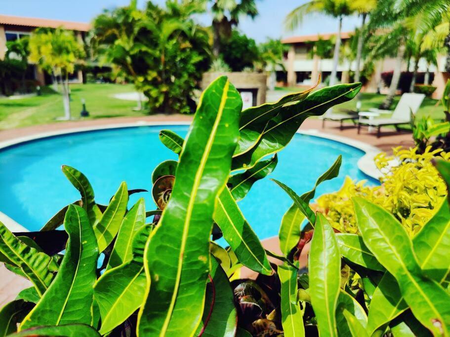 Aruba Family Oasis 2Br Pool 3Min Walk To Eagle Beach Palm Beach Luaran gambar