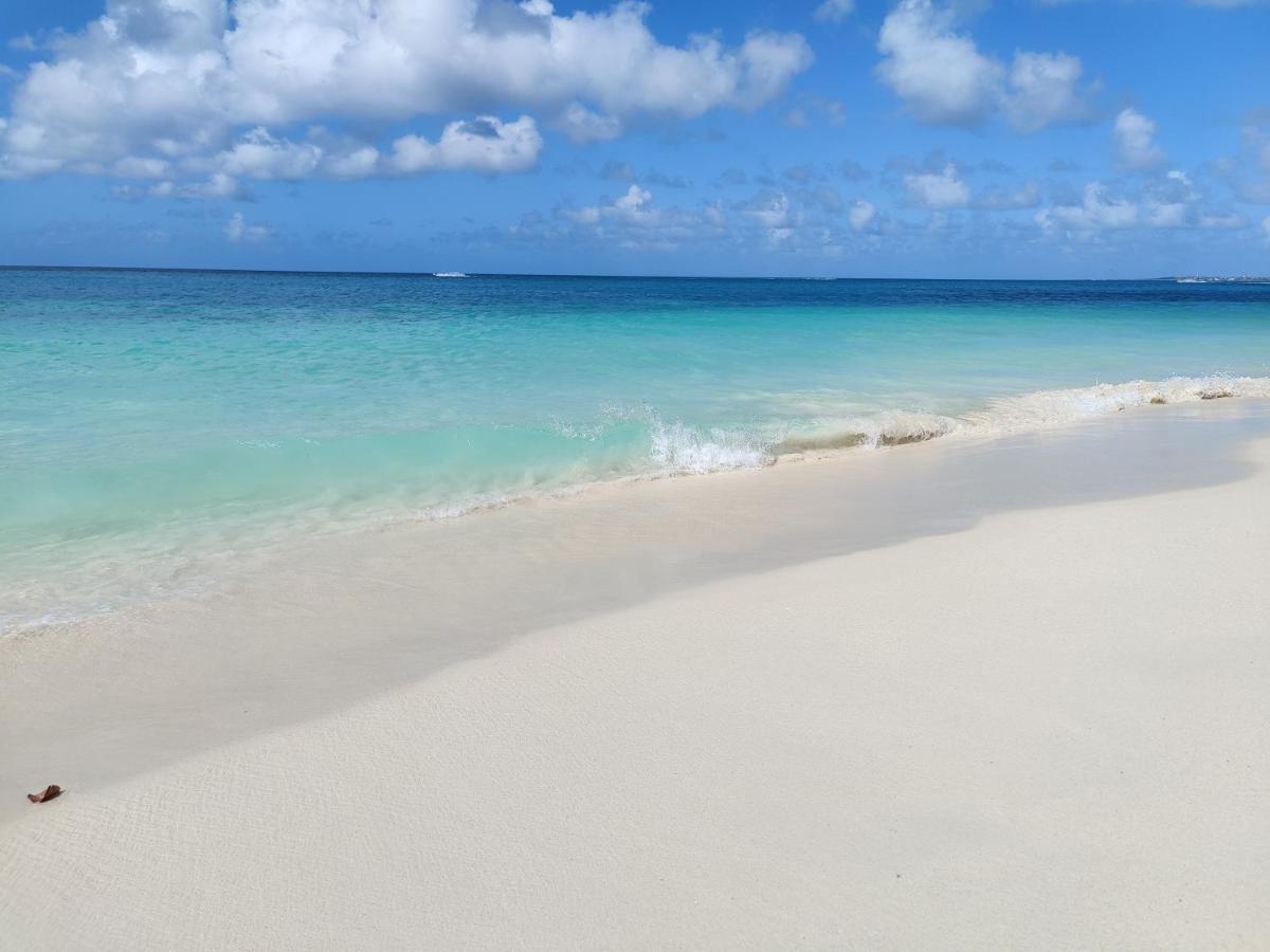 Aruba Family Oasis 2Br Pool 3Min Walk To Eagle Beach Palm Beach Luaran gambar