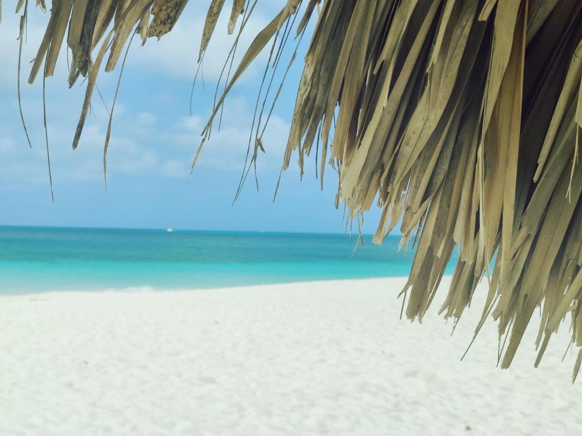Aruba Family Oasis 2Br Pool 3Min Walk To Eagle Beach Palm Beach Luaran gambar