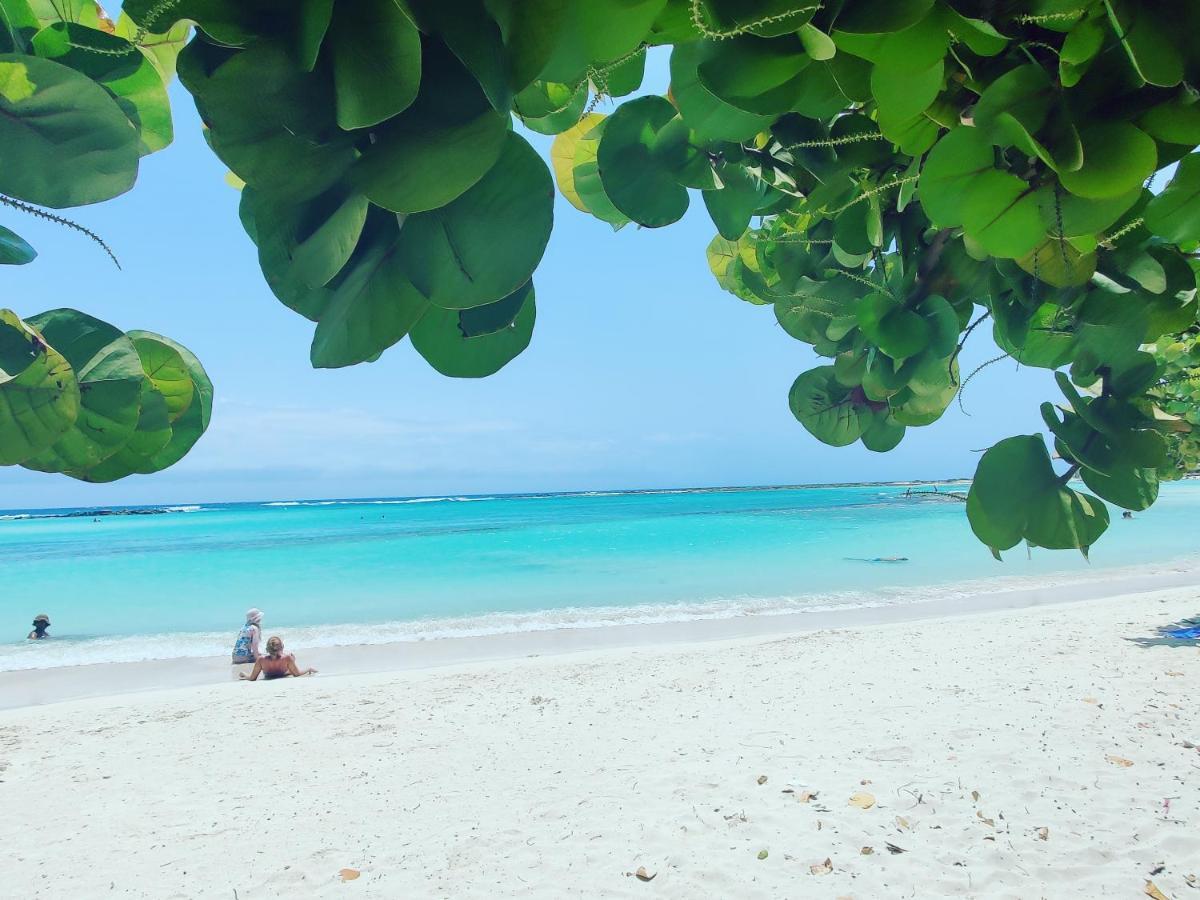Aruba Family Oasis 2Br Pool 3Min Walk To Eagle Beach Palm Beach Luaran gambar